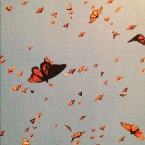 Meet your Posher, Ally